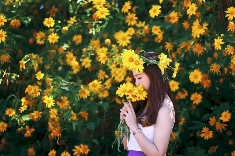 wanderlust tips 4 cung duong ngam hoa da quy dep nhat o da lat 4