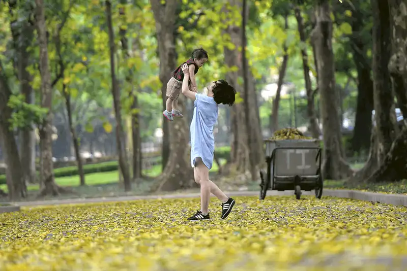 5 con đường sống ảo chất lừ cho giới trẻ Hà Nội trong mùa thu đông 14 wanderlust tips 5 con duong chup anh dep nhat ha noi trong mua thu 10