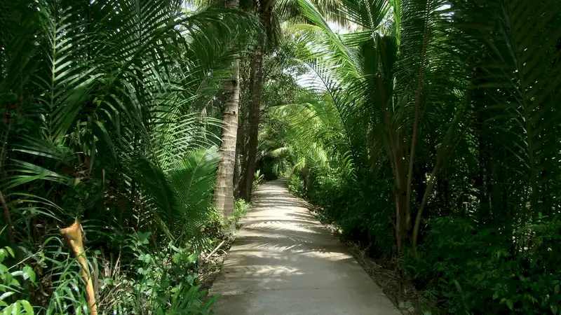 wanderlust tips 5 dia diem khong khong den khi di du lich ben tre 6