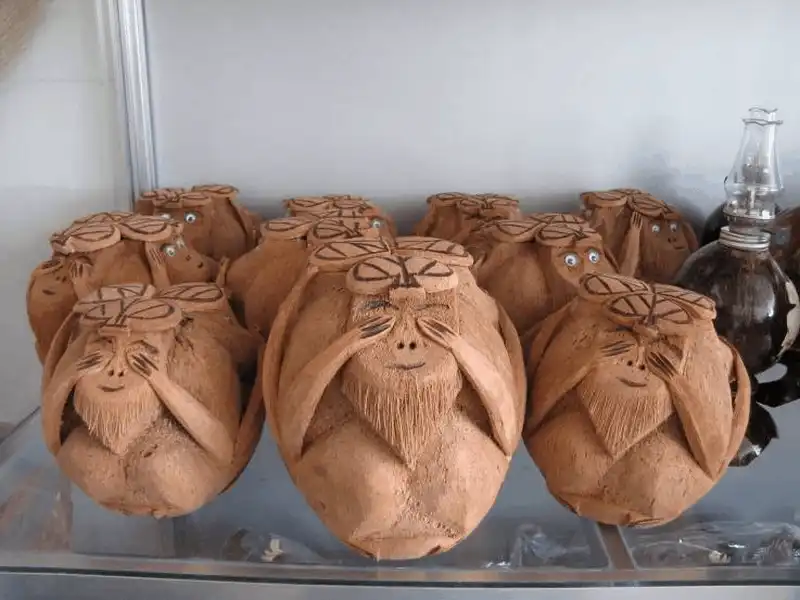 wanderlust tips 5 dia diem khong khong den khi di du lich ben tre 7