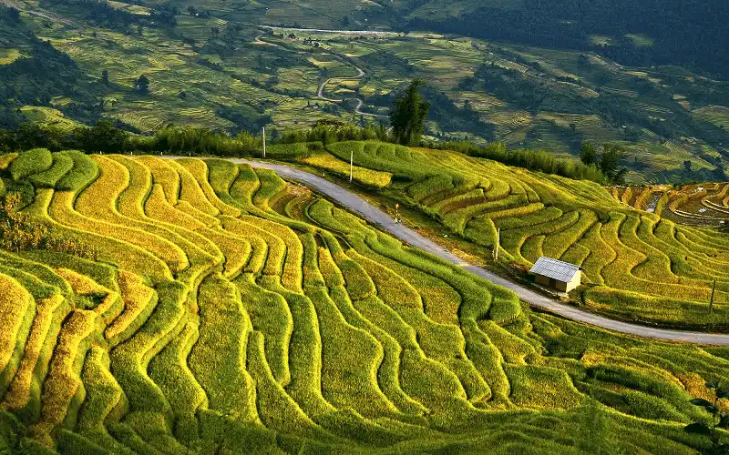 wanderlust tips 5 diem ngam ruong bac thang dep nhat lao cai 1