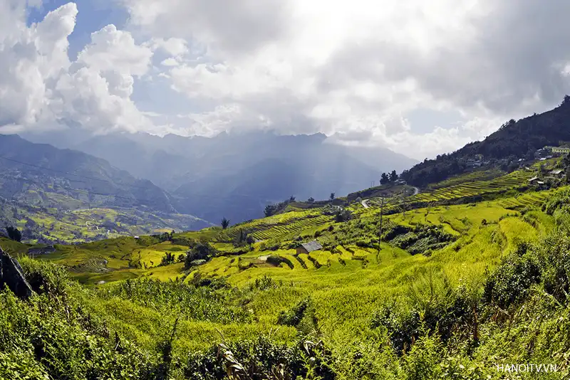 wanderlust tips 5 diem ngam ruong bac thang dep nhat lao cai 3