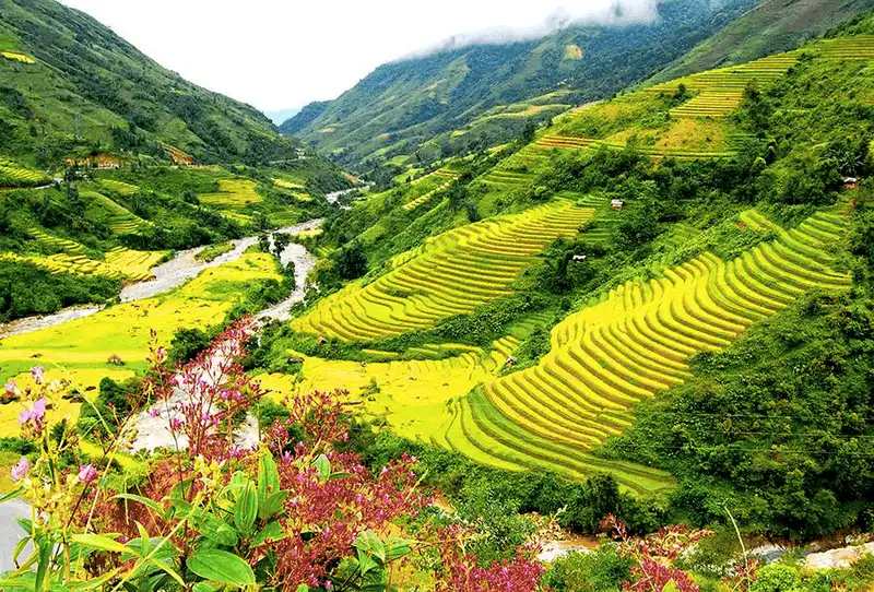 wanderlust tips 5 diem ngam ruong bac thang dep nhat lao cai 7
