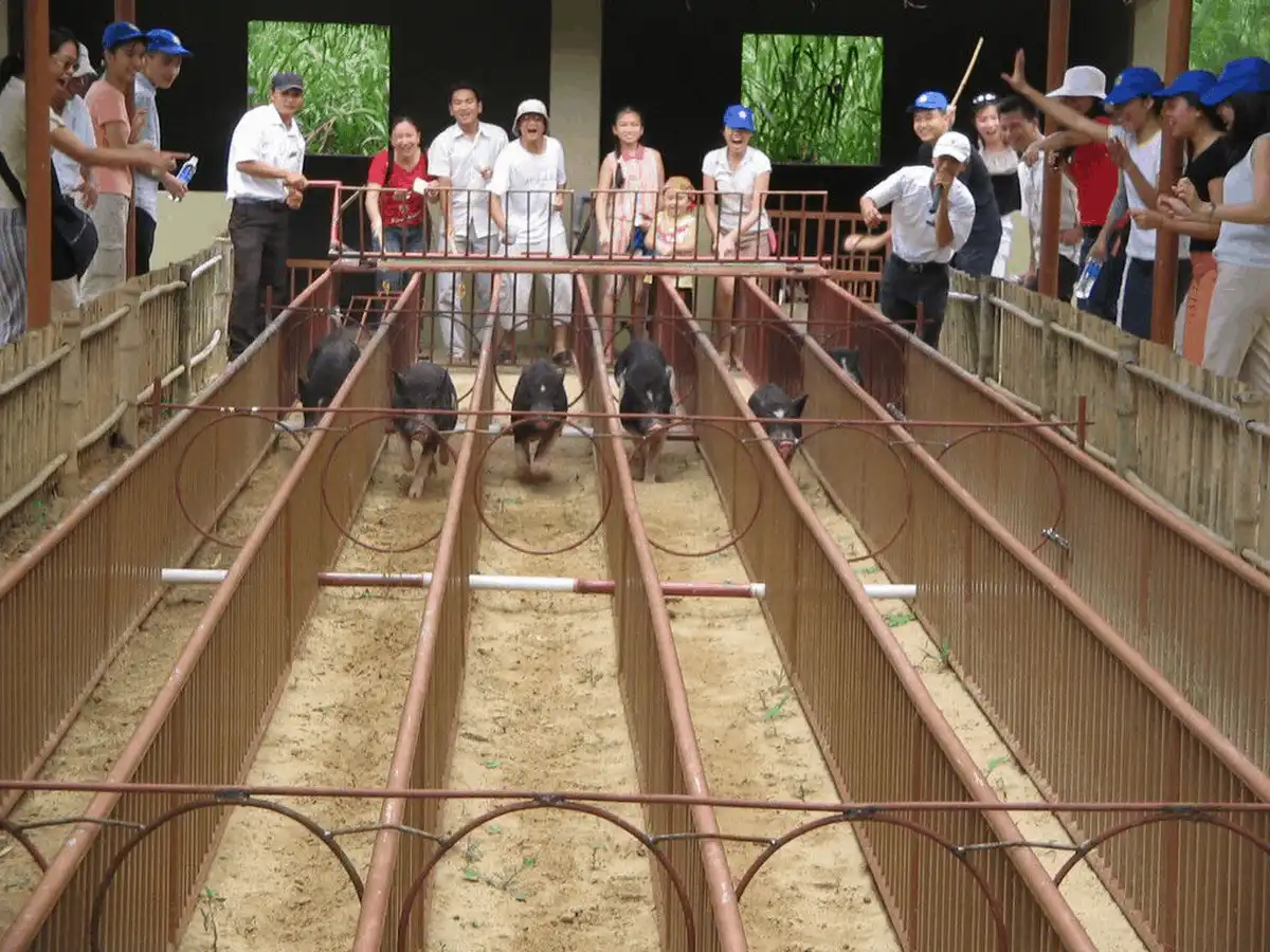 8 điểm du lịch Miền Tây không thể bỏ qua vào buổi chiều 8 wanderlust tips 8 diem du lich mien tay khong the bo qua vao buoi chieu12