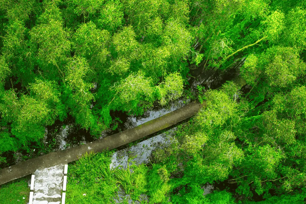 8 điểm du lịch Miền Tây không thể bỏ qua vào buổi sáng 19 wanderlust tips 8 diem du lich mien tay khong the bo qua vao buoi sang9