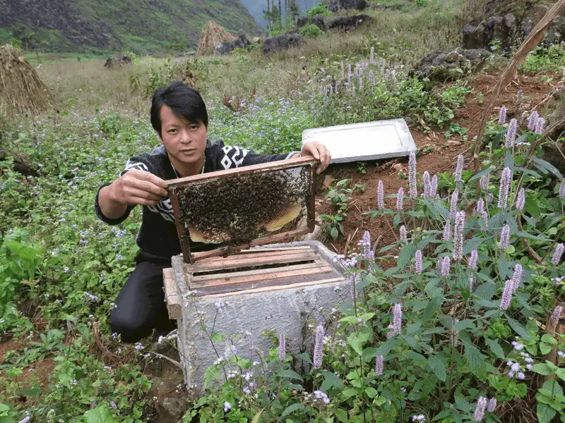 wanderlust tips 9 dac san ma du khach nen mua ve lam qua khi di du lich ha giang 5