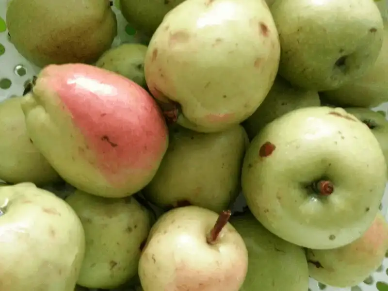 wanderlust tips 9 dac san ma du khach nen mua ve lam qua khi di du lich ha giang 8