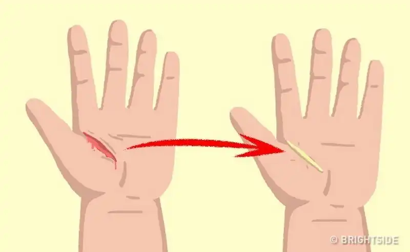 wanderlust tips 9 dieu ban nen biet de song sot trong tinh huong nguy kich 4