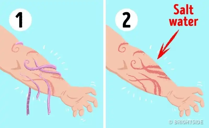 wanderlust tips 9 dieu ban nen biet de song sot trong tinh huong nguy kich 6