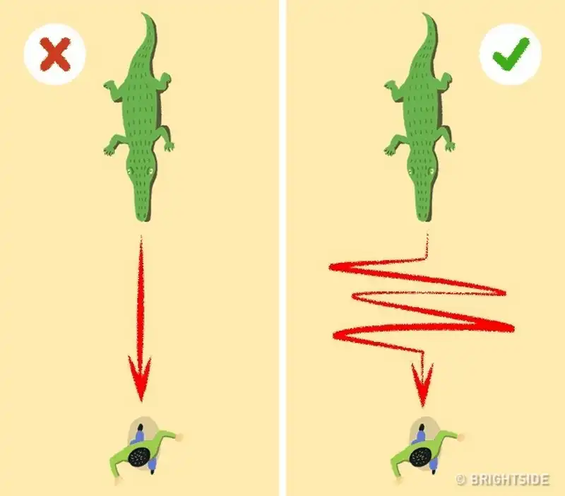 wanderlust tips 9 dieu ban nen biet de song sot trong tinh huong nguy kich 7