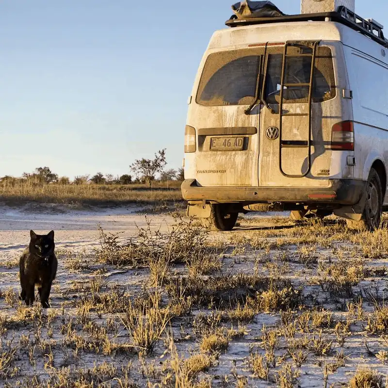 wanderlust tips 9x nghi viec ban nha va rong ruoi gioi cung meo cung 10