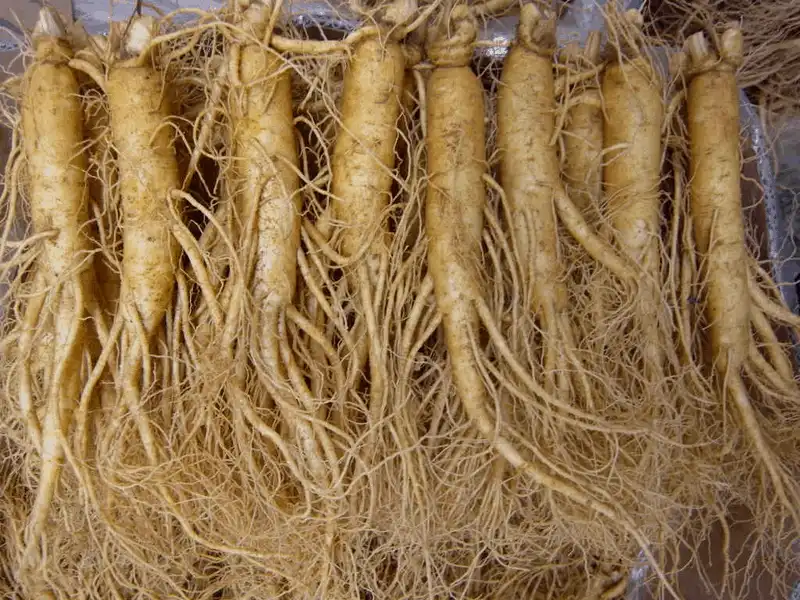 wanderlust tips di du lich han quoc nen mua gi ve lam qua 1