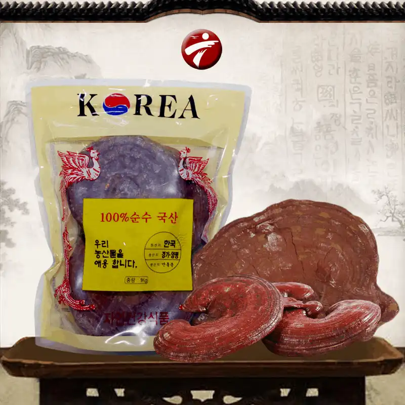 wanderlust tips di du lich han quoc nen mua gi ve lam qua 7