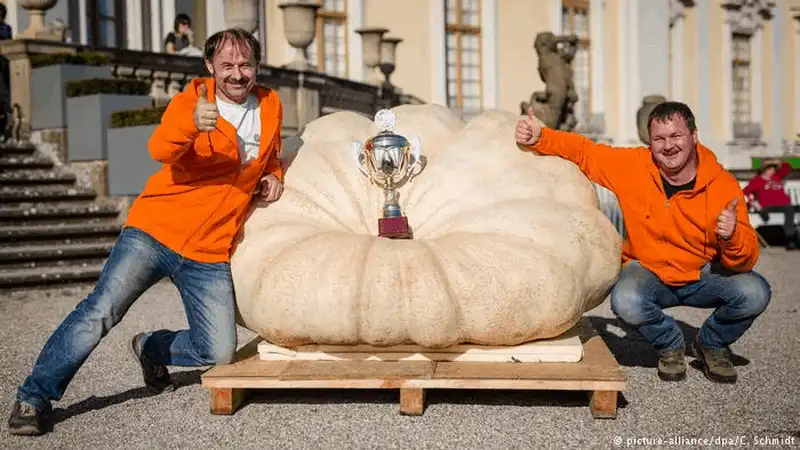 Độc đáo lễ hội bí ngô Ludwigsburg 2017 7 wanderlust tips doc dao le hoi bi ngo ludwigsburg 2017 3