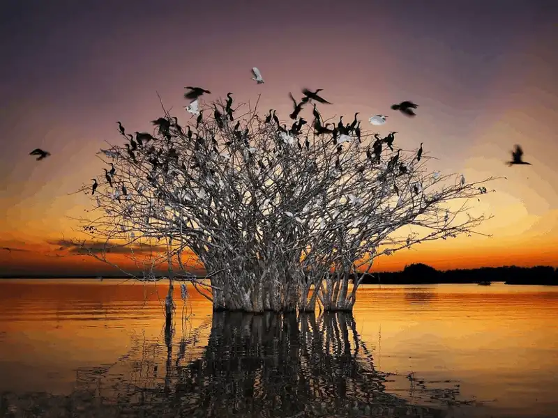 wanderlust tips du lich brazil qua 25 buc anh tuyet dep 4