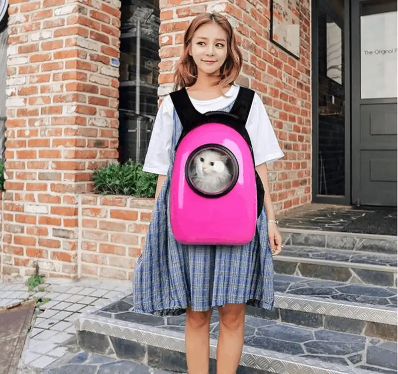 Đưa thú cưng đi khắp muôn nơi với balo phi hành gia độc đáo 9 wanderlust tips dua thu cung di khap muon noi voi balo phi hanh gia doc dao 5