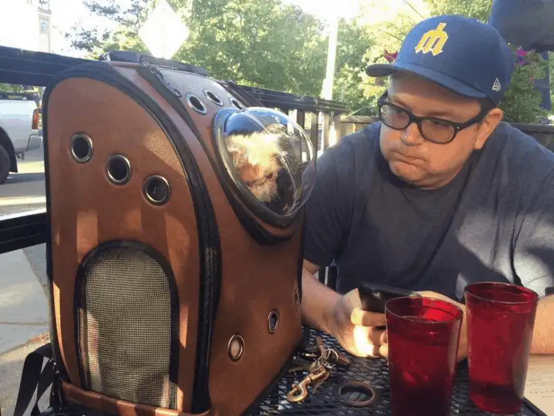 Đưa thú cưng đi khắp muôn nơi với balo phi hành gia độc đáo 7 wanderlust tips dua thu cung di khap muon noi voi balo phi hanh gia doc dao 6