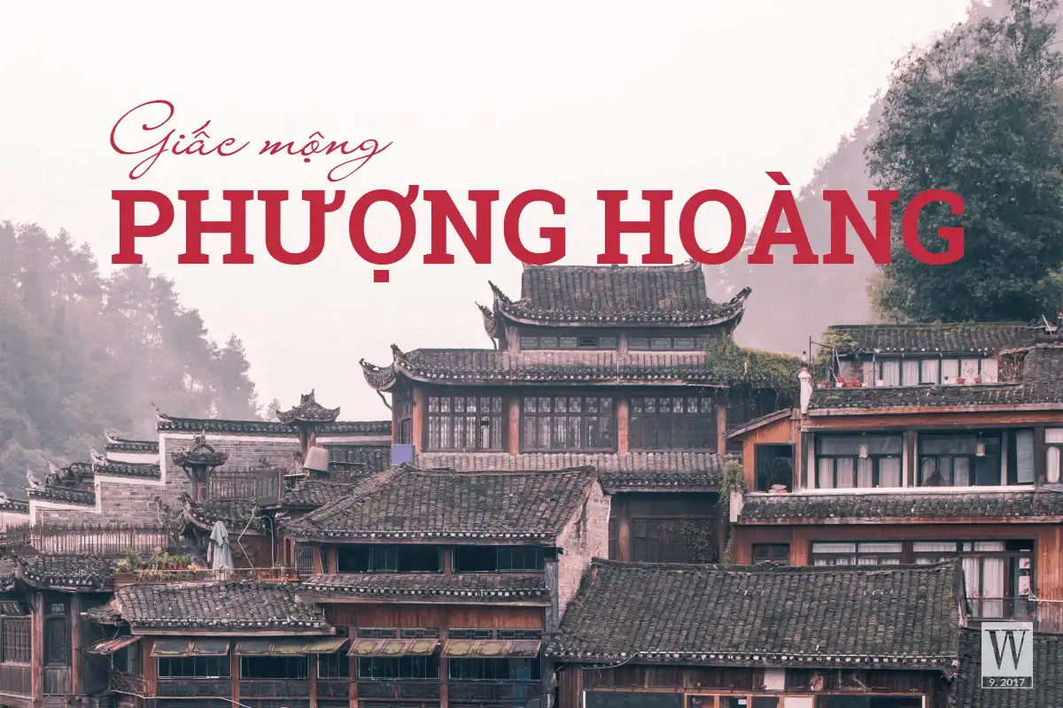 wanderlust tips giac mo phuong hoang3