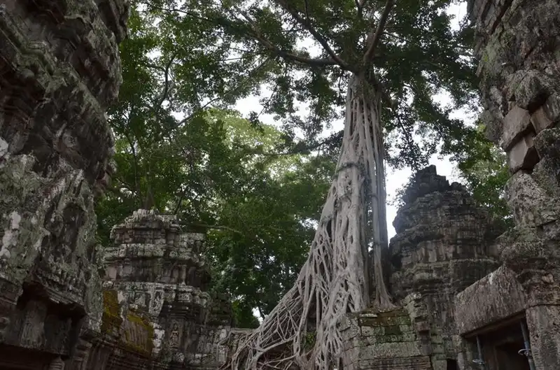 Tất tần tật kinh nghiệm du lịch Angkor, Campuchia 17 wanderlust tips kinh nghiem du lich angkor campuchia 3