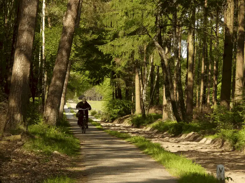 wanderlust tips kinh nghiem du lich ha lan chi tiet nhat 14