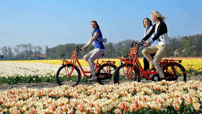 wanderlust tips kinh nghiem du lich ha lan chi tiet nhat 5