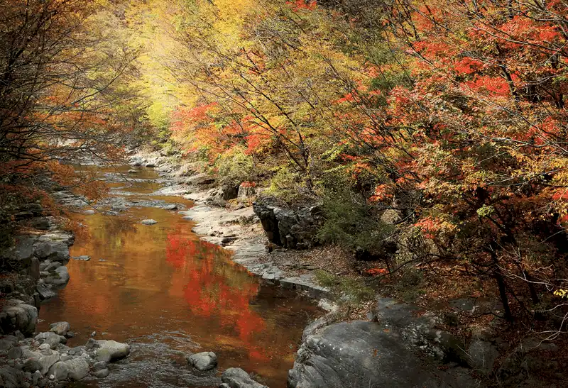 wanderlust tips kinh nghiem du lich han quoc dip the van hoi mua dong 2018 8