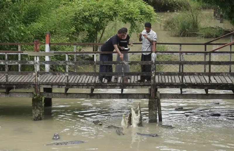wanderlust tips kinh nghiem du lich yangon myanmar tu a den z 10