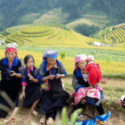 wanderlust tips mu cang chai menh mong mua nuoc do 11