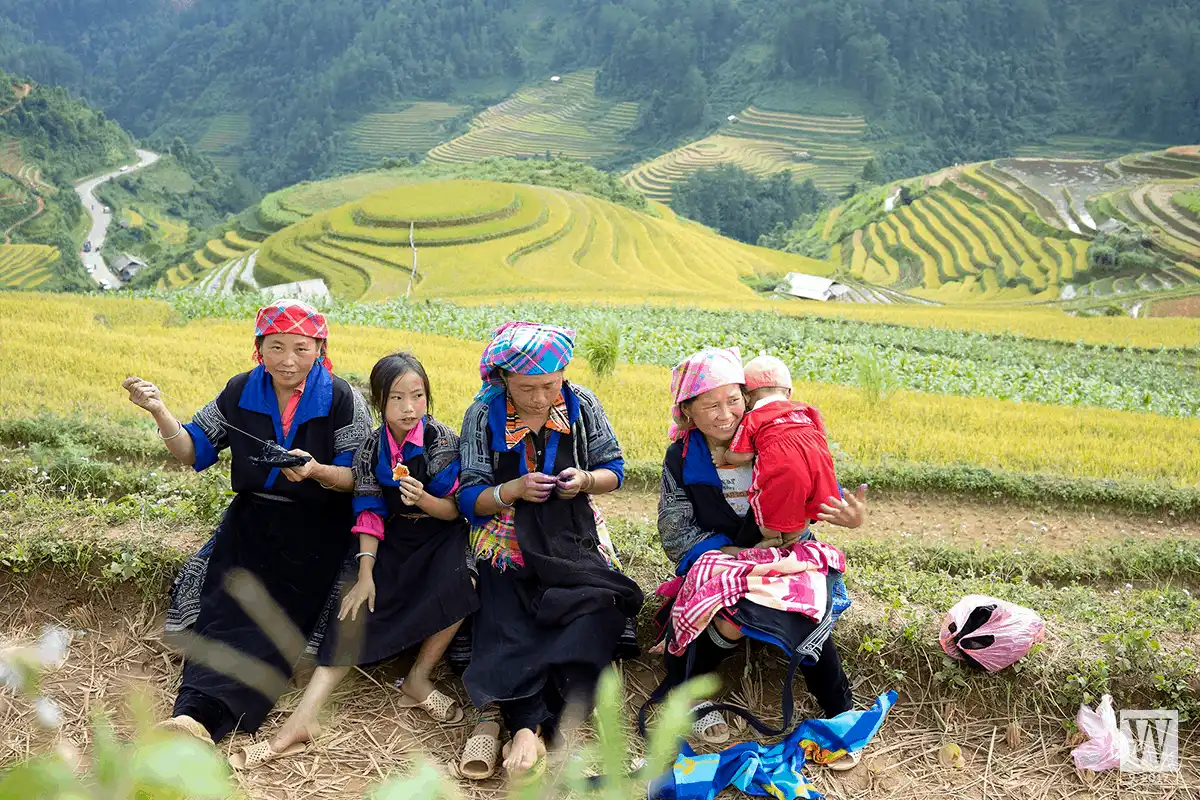 wanderlust tips mu cang chai menh mong mua nuoc do2