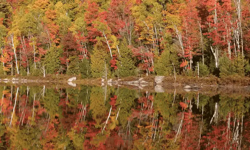 wanderlust tips ngan ngo ngam sac thu ruc ro khi rung thay ao 13