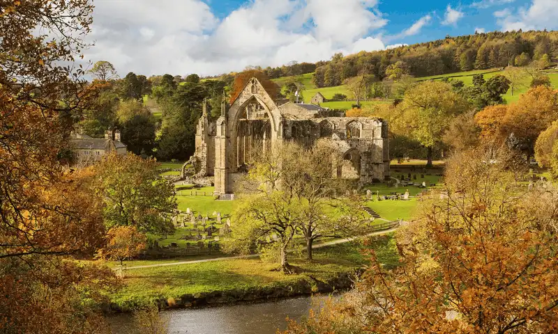 wanderlust tips ngan ngo ngam sac thu ruc ro khi rung thay ao 2