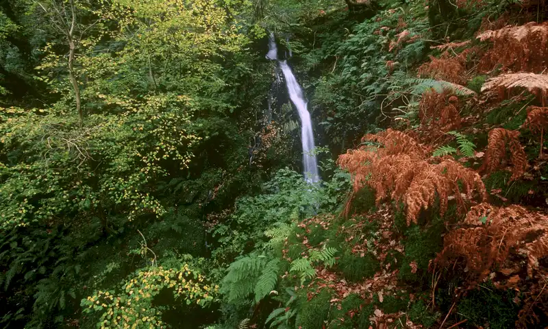 wanderlust tips ngan ngo ngam sac thu ruc ro khi rung thay ao 6