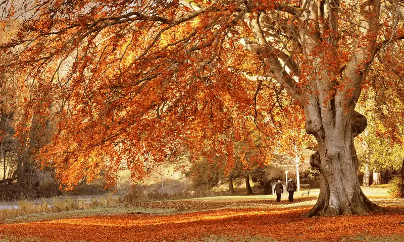 wanderlust tips ngan ngo ngam sac thu ruc ro khi rung thay ao 7