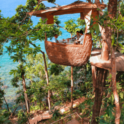 wanderlust tips nha hang to chim co mot khong hai o thai lan 0