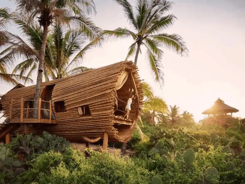 wanderlust tips nhung ngoi nha cay tuyet dep 1