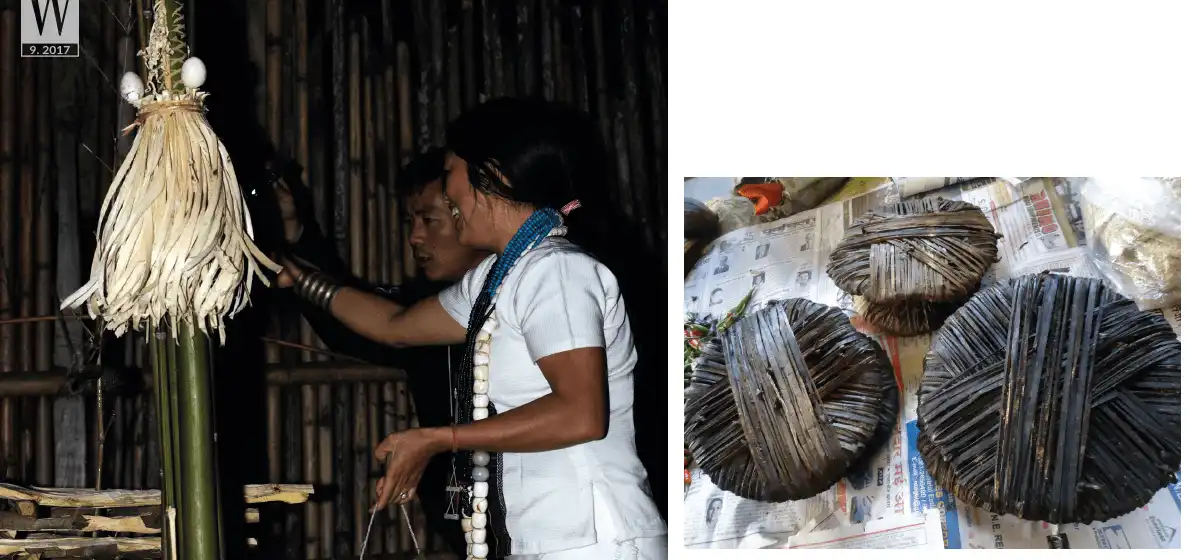 wanderlust tips song khoe nhu nguoi apatani1