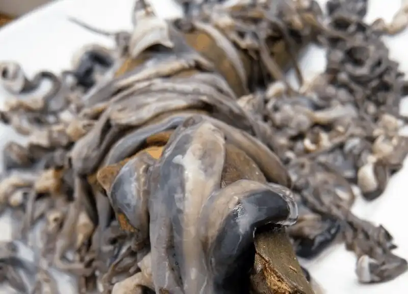 Tamilok - đặc sản kinh dị không phải ai cũng dám thử của Philippines 6 wanderlust tips tamilok dac san khong phai ai cung dam thu cua philippines 5