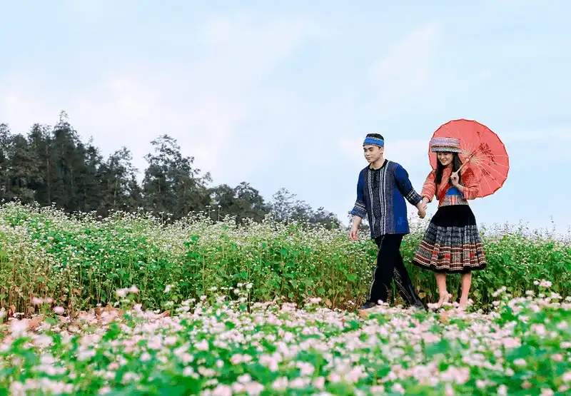 wanderlust tips thang 10 toi sa pa ngam hoa tam giac mach 2
