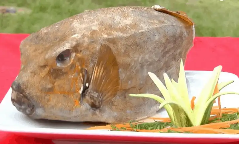 wanderlust tips thien duong thuc dao binh ba 5