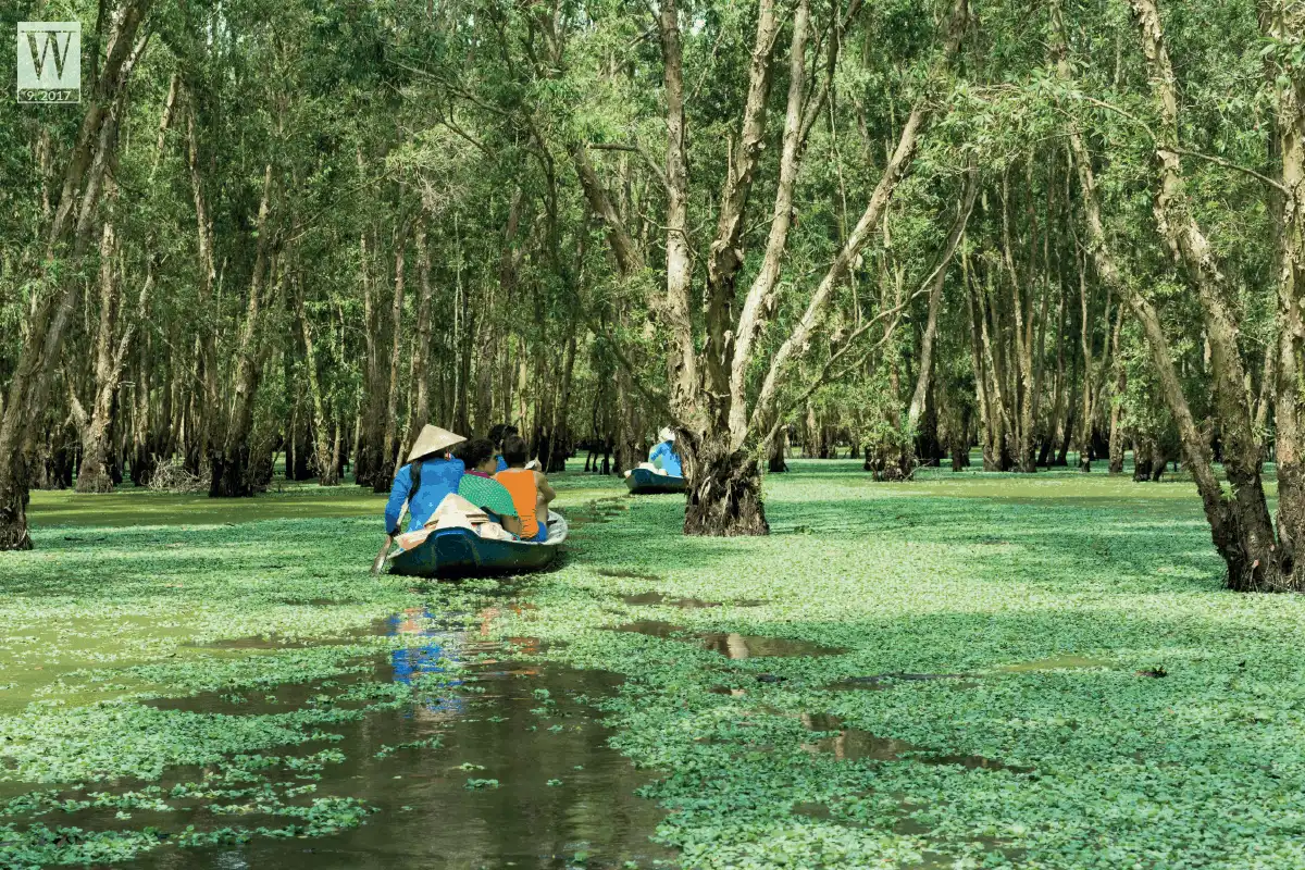 Thương nhớ miền Tây 8 wanderlust tips thuong nho mien tay2