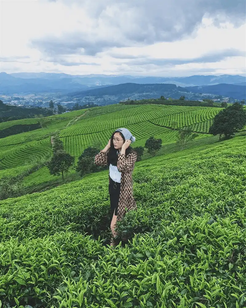 Tới Đà Lạt đừng quên ghé 4 nông trang siêu xinh này! 14 wanderlust tips toi da lat dung quen ghe 4 nong trang sieu xinh nay 10