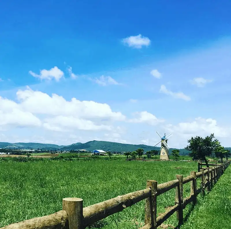 Tới Đà Lạt đừng quên ghé 4 nông trang siêu xinh này! 9 wanderlust tips toi da lat dung quen ghe 4 nong trang sieu xinh nay 4