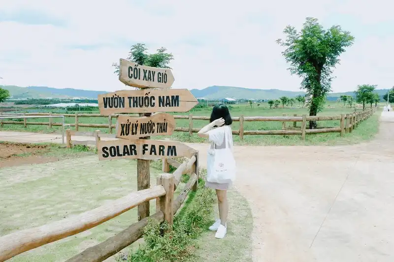 Tới Đà Lạt đừng quên ghé 4 nông trang siêu xinh này! 8 wanderlust tips toi da lat dung quen ghe 4 nong trang sieu xinh nay 5