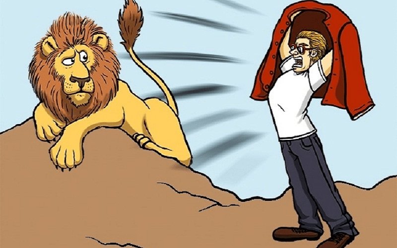 Kỹ năng sinh tồn khi đối mặt với động vật nguy hiểm