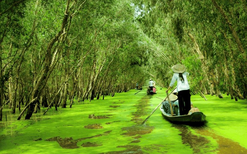 8 điểm du lịch Miền Tây không thể bỏ qua vào buổi sáng 5 wanderlust tips 8 diem du lich mien tay khong the bo qua vao buoi sang 21