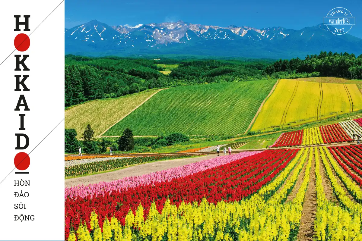 hokkaido hon dao soi dong kham pha