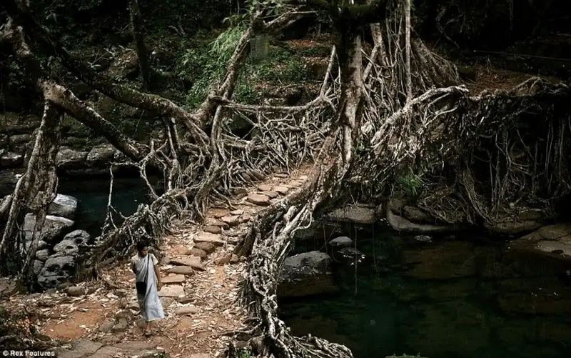 wanderlust tips 10 trai nghiem an do thu vi nhat 18