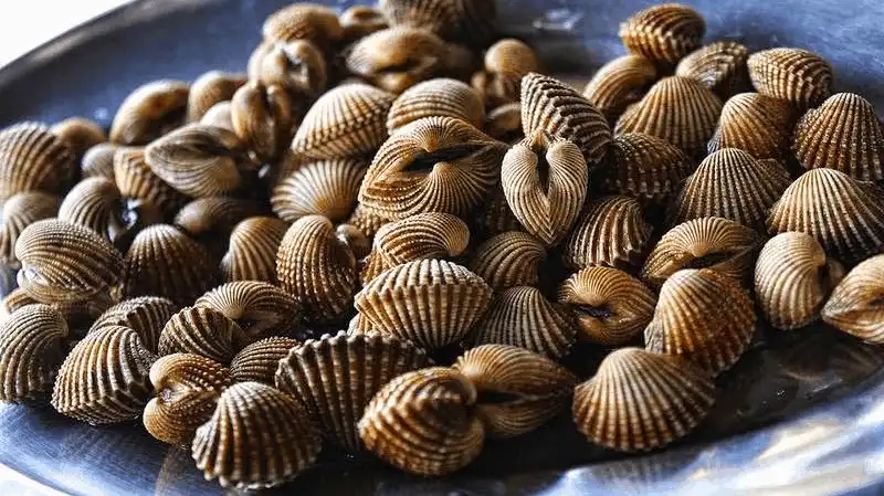 3 đặc sản lừng danh của vùng đất "hoa vàng trên cỏ xanh" 7 wanderlust tips 3 dac san lung danh cua vung dat hoa vang tren co xanh 3