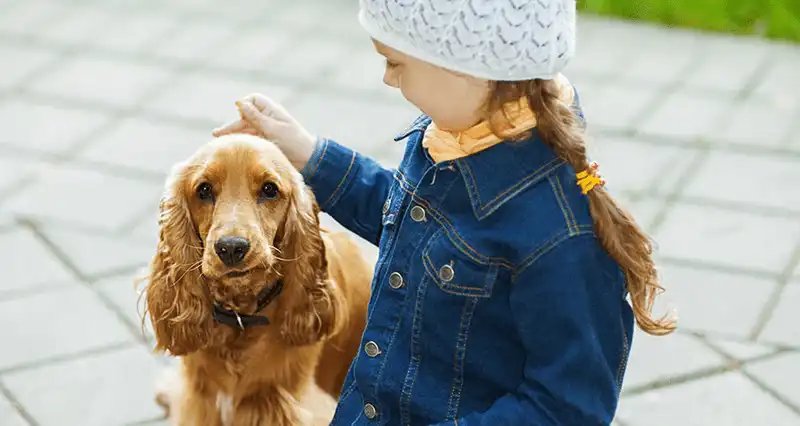 wanderlust tips 8 dieu thu vi ve dat nuoc ha lan co ban chua biet 2