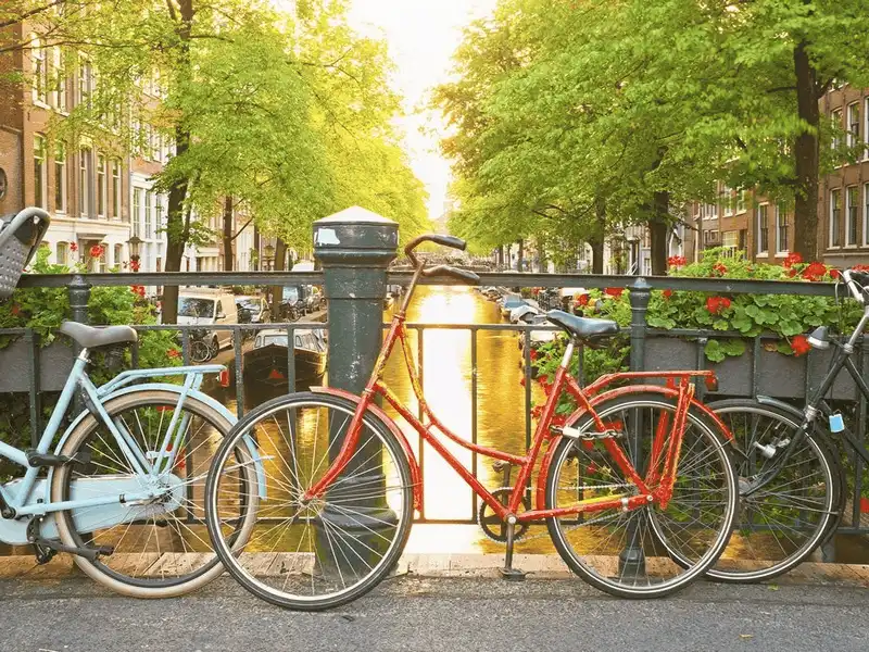 wanderlust tips 8 dieu thu vi ve dat nuoc ha lan co ban chua biet 5